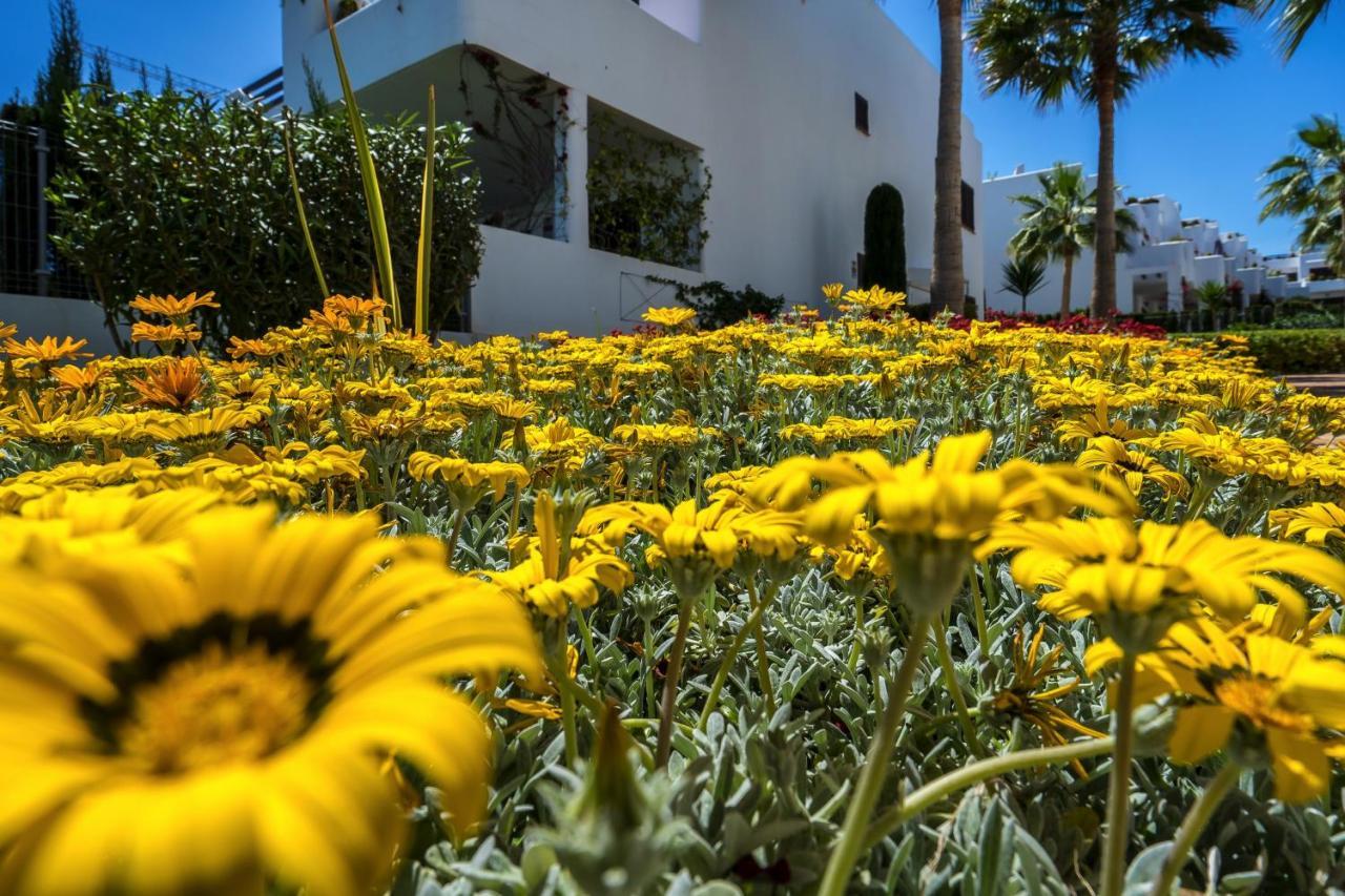 Apartmán Mango San Juan de los Terreros Exteriér fotografie